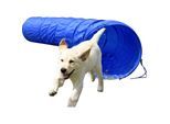 Agility Tunnel zusammenfaltbarer Tunnel für Hundesport versch. Größen