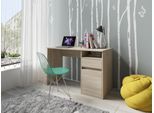 Schreibtisch INOSIGN "Tinsley", braun (sonoma eiche, natur, natur), B:120cm H:76cm T:53cm, Tische, mit Schublade, und Tür, Breite 120 x53 cm