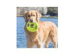 KONG Hundespielzeug AirDog Donut Medium 12cm