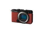 Panasonic Lumix S9