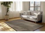 Fellteppich OBSESSION "Eternity 500", braun (wallnuss), B:200cm H:45mm L:290cm, Polyester, Teppiche, Fellteppich, Kunstfell, Uni Farben, seidenglänzend, samtweich, weich & kuschelig