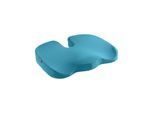 Leitz Ergo Cosy Sitzkissen, Blau