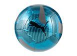PUMA Fussball »Cage Ballgrösse: 4«
