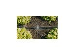 Gardena Tropfbewässerung-Set Gemüse-/Blumenbeet 60 m² (13450-20)