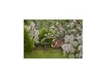 Gardena Reihentropfer druckausgleichend 2 l/h Inhalt: 10 Reihentropfer (13302-20)