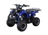 Benzin-Kinderquad S-8 Farmer, 125 ccm, ATV, Not-Aus-Leine, Automatik, Alarmanlage, Scheibenbremse (Blau)