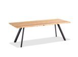Gartentisch SOLID