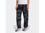 adidas TERREX Outdoorhose »W CARGO AOP P«, (1 tlg.)