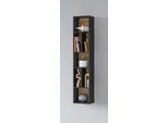 Wandregal INOSIGN "Toledo,Höhe 159 cm stilvolle Bücherregal, viel Stauraum", schwarz (antrazit, alteiche), B:32cm H:159cm T:25cm, ABS-Kunststoff, FSC-zertifizierter Holzwerkstoff, Melamin, Regale, Wandregal Masse 32/159/25 (B/H/T)