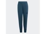 adidas Sportswear Sporthose »J Z.N.E. PT«, (1 tlg.)