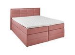 Esposa Boxspringbett , Koralle , Textil , H2 + H3 , 7-Zonen , Höhe ca. 18 cm , 160x200 cm , Bettkasten, Federkernmatratze, Stoffauswahl, Topper durchgehend, Wendematratze mit unterschiedlichen Härtegraden, in verschiedenen Größen erhältlich, Matratze in verschiedenen Härtegraden erhältlich , Schlafzimmer, Betten, Boxspringbetten
