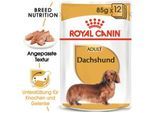 ROYAL CANIN Dachshund Adult Mousse 48x85 g