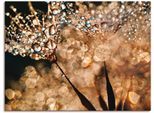 Wandbild ARTLAND "Pusteblume Goldschimmer", gold (farbe bild(er): goldfarben), B:120cm H:90cm, Bilder, als Alubild, Outdoorbild, Leinwandbild, Poster, Wandaufkleber