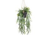 Künstliche Zimmerpflanze BOTANIC-HAUS "Asparagus-Hängeampel", grün, B:19cm H:46cm T:19cm Ø:19cm, Kunststoff, Kunstpflanzen, Künstliche Zimmerpflanze