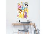 Poster REINDERS "Disney - princess", bunt (farbe bild(er): bunt), B:61cm H:91,5cm T:0,1cm, Holzwerkstoff, Bilder, Poster