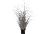 Kunstgras CREATIV GREEN "Gras", silber, H:73cm, Kunststoff, Kunstpflanzen, in moderner Farbgebung