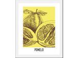 queence Bild »Pomelo«, Obst-Obst Bilder-Kunst-Abstrakt-Essen-Lebensmittel-Schriftzug, (1 St.), gerahmt