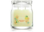 Yankee Candle Lemon Gelato geurkaars 368 g
