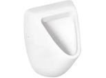 Absaug-Urinal Ideal Standard Eurovit 360 x 560 x 335 mm, Zulauf von hinten, Keramik, weiß - K553801