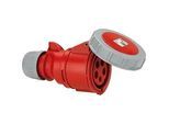 CEE-Kupplung Shark IP67, 5-polig 400V, 32A - rot