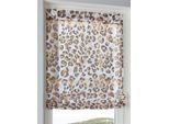 Raffrollo HEINE HOME Gr. 3, braun (weiß, braun), B:80cm H:130cm, Raffrollos, Raffrollo