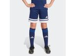 adidas Performance Trainingsshorts »SQUA25 SHO Y«, (1 tlg.)