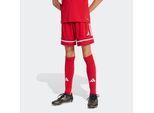 adidas Performance Trainingsshorts »SQUA25 SHO Y«, (1 tlg.)