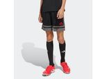 adidas Performance Trainingsshorts »SQUA25 SHO Y«, (1 tlg.)