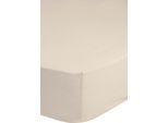 Spannbettlaken GOOD MORNING "Jersey Spannbettlaken", beige (ecru), B:200cm L:220cm, Jersey, Obermaterial: 100% Baumwolle, Laken, 100% Baumwolle, Jersey, Rundumgummi, bis 25 cm höhe, 90/100x200, Weiß