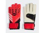 adidas Performance Torwarthandschuhe »PRED GL TRN J«