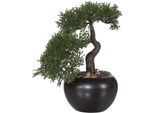 Kunstbonsai CREATIV GREEN "Bonsai Zeder im Keramiktopf", grün, H:25cm, Obermaterial: 100% Polyethylen, Kunstpflanzen, Kunstbonsai