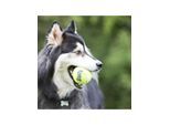 KONG Hundespielzeug SqueakAir Ball XLarge 10cm