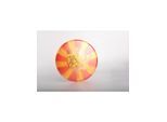 Yikun Disc Golf Putter GUI - Dragon Line