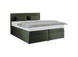 Boxspringbett Rossa in Olivgrün ca. 180x200cm