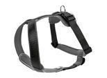 Hunter Geschirr Neopren schwarz/ grau M