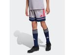 adidas Performance Trainingsshorts »SQUA25 SHO Y«, (1 tlg.)