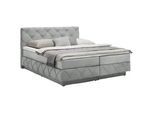 Boxspringbett Cordoba Hellgrau ca. 180x200cm