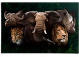 Poster REINDERS "The big five", braun (farbe bild(er): braun), B:91,5cm H:61cm T:0,1cm, Papier, Bilder, Poster