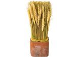 Trockenblume CREATIV HOME "Trockenblumen imTopf", rosa, B:10cm H:30cm, Kunstpflanzen