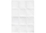 Daunendecke Premium Warm ca. 140x200cm