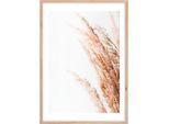 Bild Image ca. 50x70cm