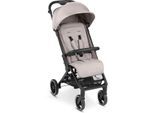 ABC Design Ping 2 Trekking Buggy Kinderwagen powder