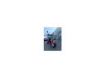 Madat CP-3 Elektro-Dreirad – E-Scooter & Chopper 45 km/h (25 km/h optional) 40 Ah Akku 60–90 km Reichweite mit 2 Akkus Rot