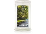 Kringle Candle Spanish Moss geurkaars 623 g
