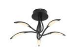 LED-Deckenleuchte Kaela Schwarz/Weiß max. 25 Watt Deckenlampe