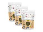 Bunny MeerschweinchenTraum basic 3x1,5 kg