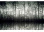 Leinwandbild QUEENCE "Der Nebel", grau (farbe bild(er): grau), B:90cm H:60cm, Leinwand, Holzrahmen, Bilder, Akustikbild mit sehr guten Schallabsorptions-Eigenschaften