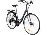 Scrapper Railway Hollandrad Damenfahrrad 28 Zoll Fahrrad Damen 155 - 170 cm Cityrad 18 Gänge retro Holland Rad