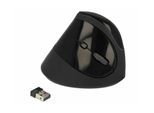 Delock ergonomische Maus »Delock Ergonomische Maus 12599 USB«