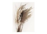 Bild SUNNY GRASS BOUQUET